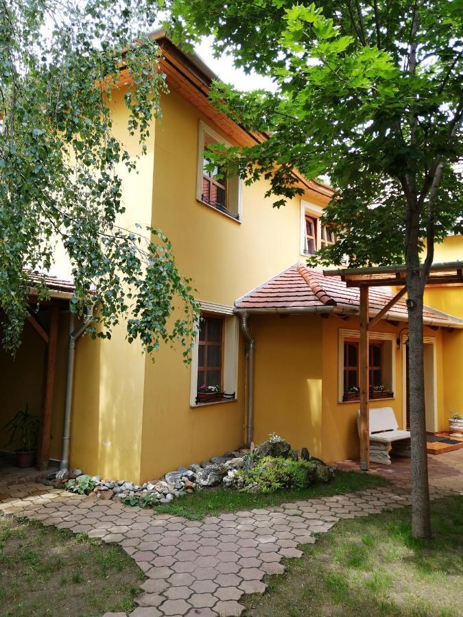 Bed and Breakfast Karpatia Panzio Esztergom Esterno foto